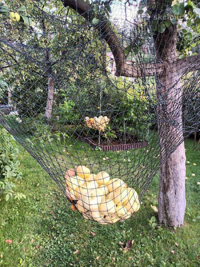 Šviežios, natūralios obuolių sultys iš savo sodo! - nuotraukos Nr. 2