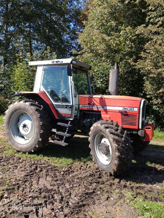 Traktorius Massey Ferguson 3630 - nuotraukos Nr. 2