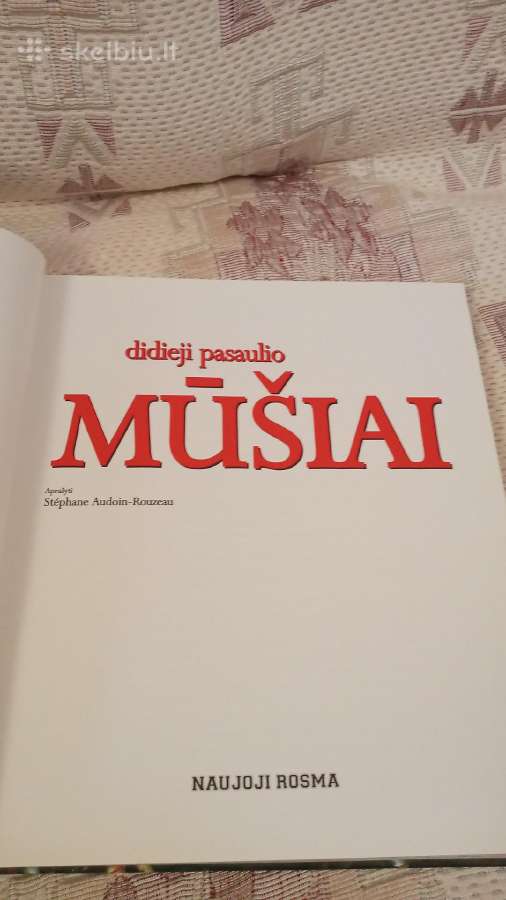 Didieji pasaulio mūšiai - nuotraukos Nr. 2