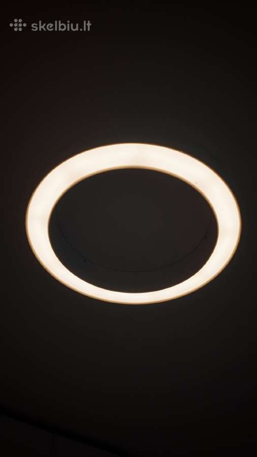 Cleoni Alfredo 500 minimalistiniai LED šviestuvai - nuotraukos Nr. 4