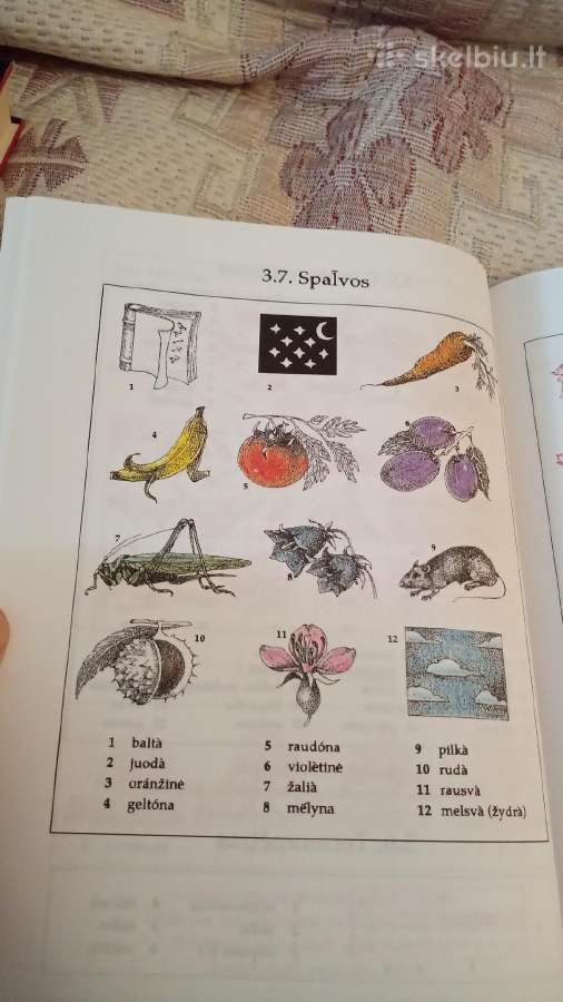 Lithuanian Pictorial Dictionary - nuotraukos Nr. 6