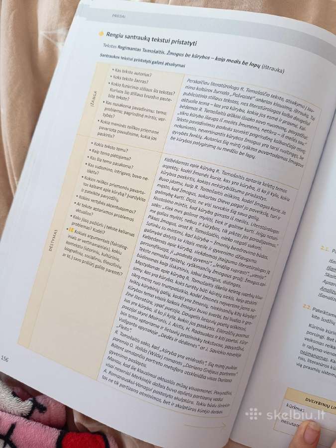 Lietuvių kalba ir literatūra Vbe I dalis 11 klasė - nuotraukos Nr. 4