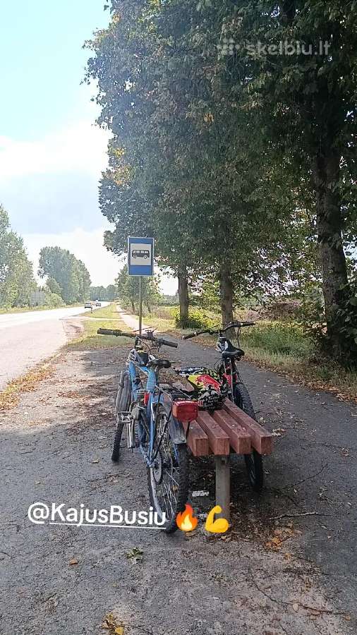 Motorinis dviratis 49cc - nuotraukos Nr. 2