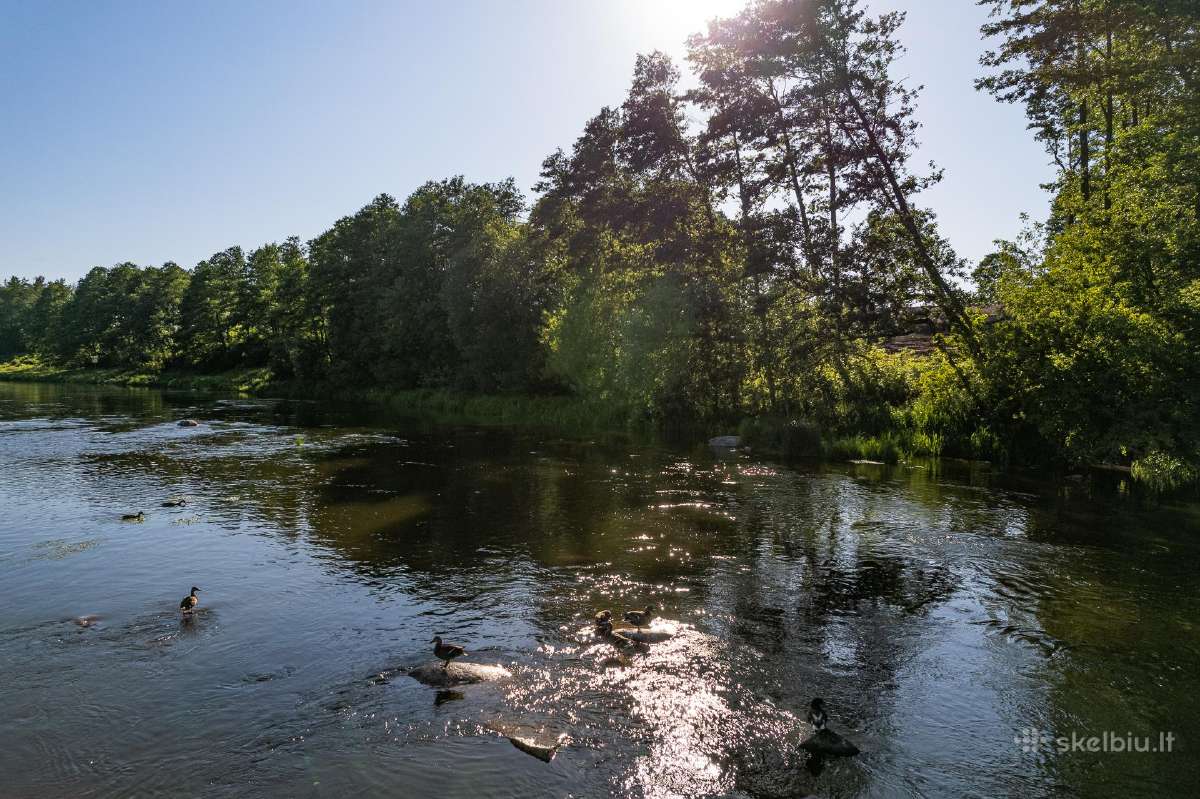Sklypas prie Druskininkų su Nemuno pakrante - nuotraukos Nr. 9