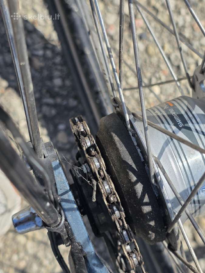 Atr special mudster Bocas - nuotraukos Nr. 14