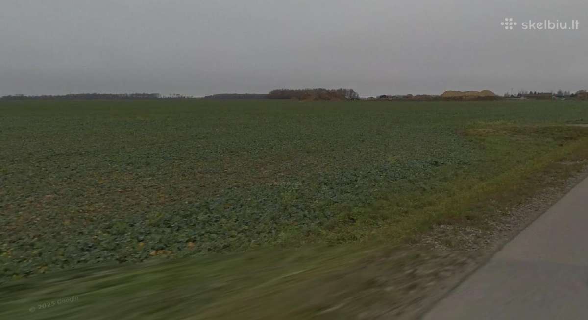 Sklypai Šimkuose, Klaipėdos R. Šalia Radailių - nuotraukos Nr. 4