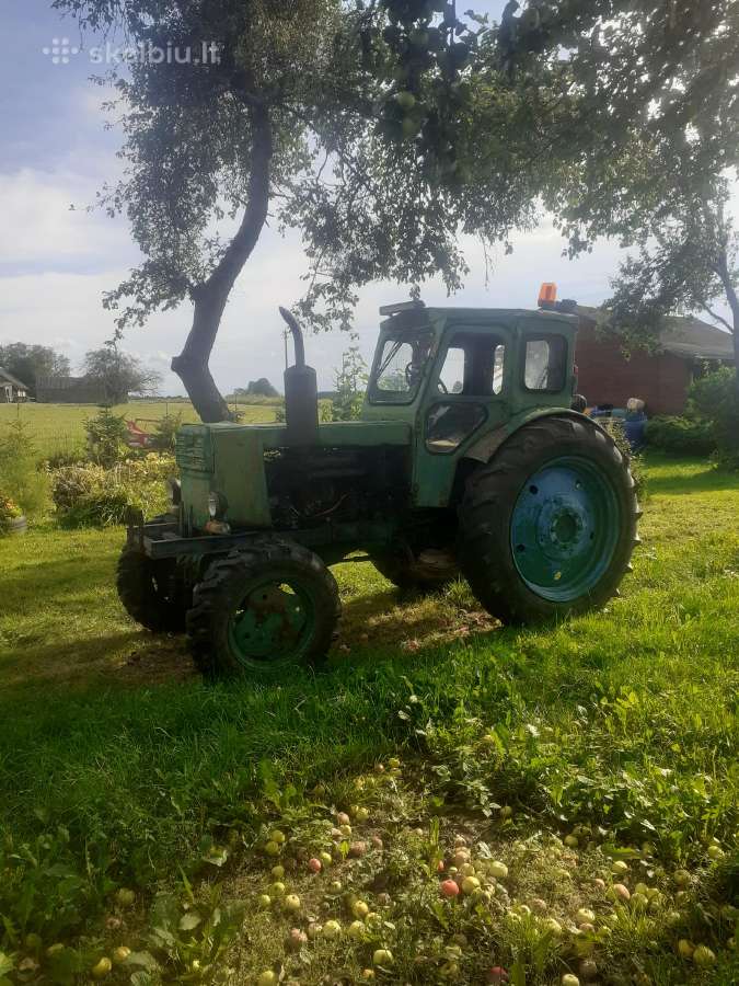 T40 - nuotraukos Nr. 7