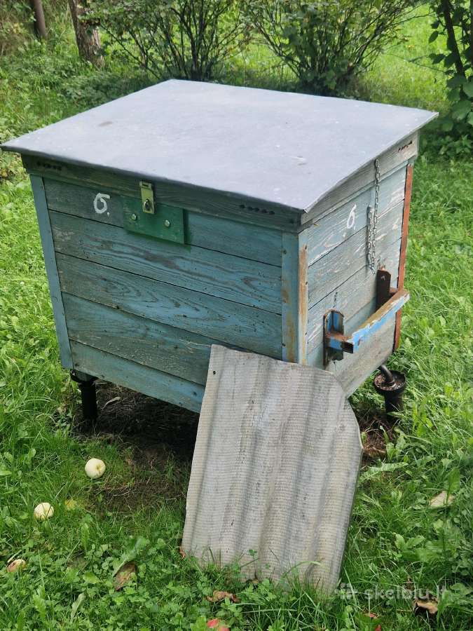 Parduodami aviliai su bitėmis - nuotraukos Nr. 3