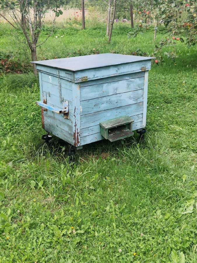 Parduodami aviliai su bitėmis - nuotraukos Nr. 4