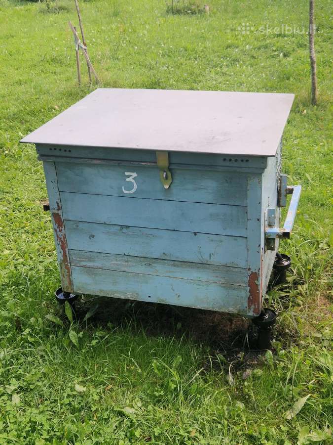 Parduodami aviliai su bitėmis - nuotraukos Nr. 6
