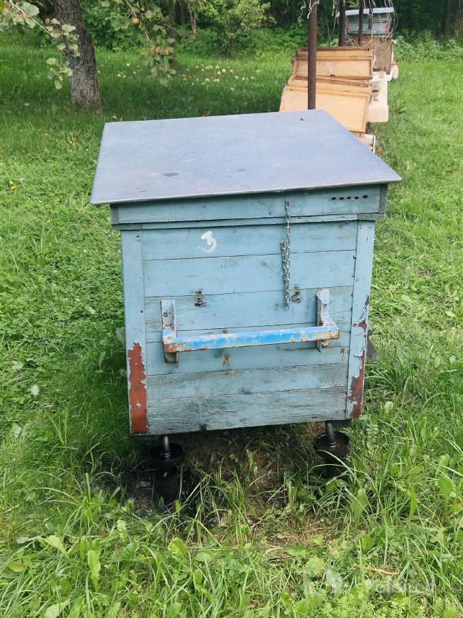 Parduodami aviliai su bitėmis - nuotraukos Nr. 7