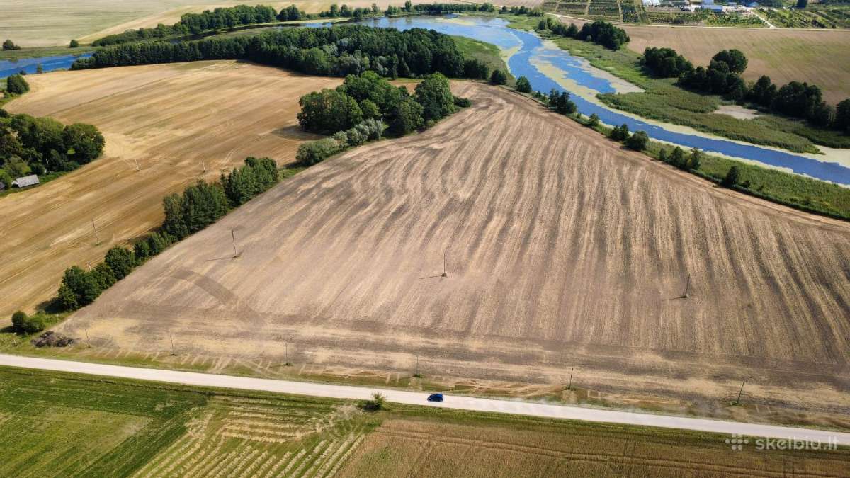 Parduodamas 5,13 Ha Žemės Sklypas Prie Šešupės - nuotraukos Nr. 5