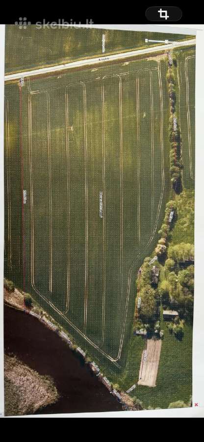 Parduodamas 5,13 Ha Žemės Sklypas Prie Šešupės - nuotraukos Nr. 8
