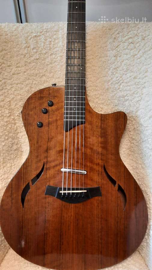 Taylor T5 Ovangkol 2009 Limited Edition Usa - nuotraukos Nr. 3