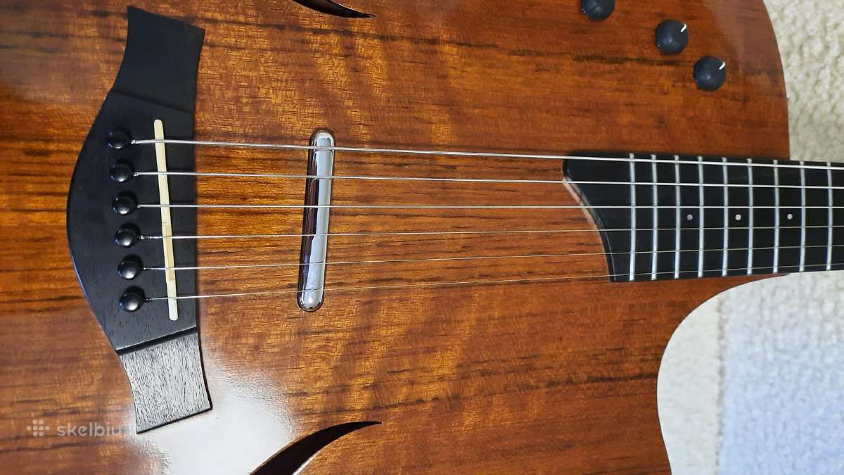 Taylor T5 Ovangkol 2009 Limited Edition Usa - nuotraukos Nr. 6