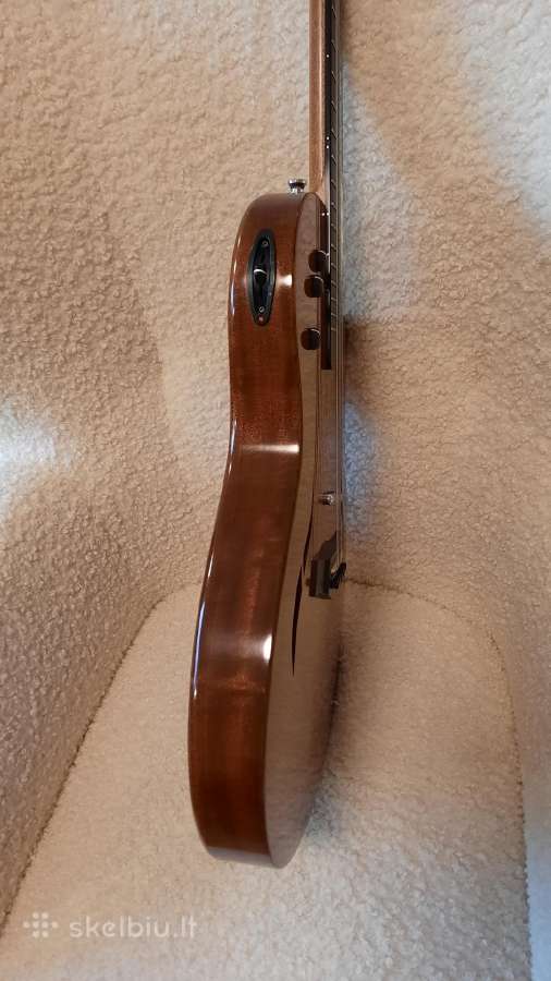 Taylor T5 Ovangkol 2009 Limited Edition Usa - nuotraukos Nr. 12