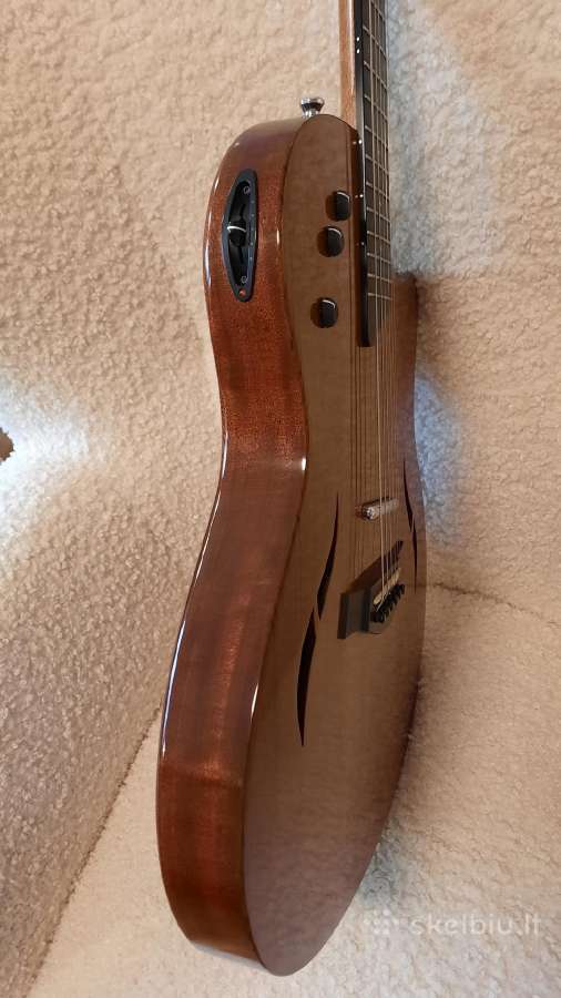 Taylor T5 Ovangkol 2009 Limited Edition Usa - nuotraukos Nr. 13
