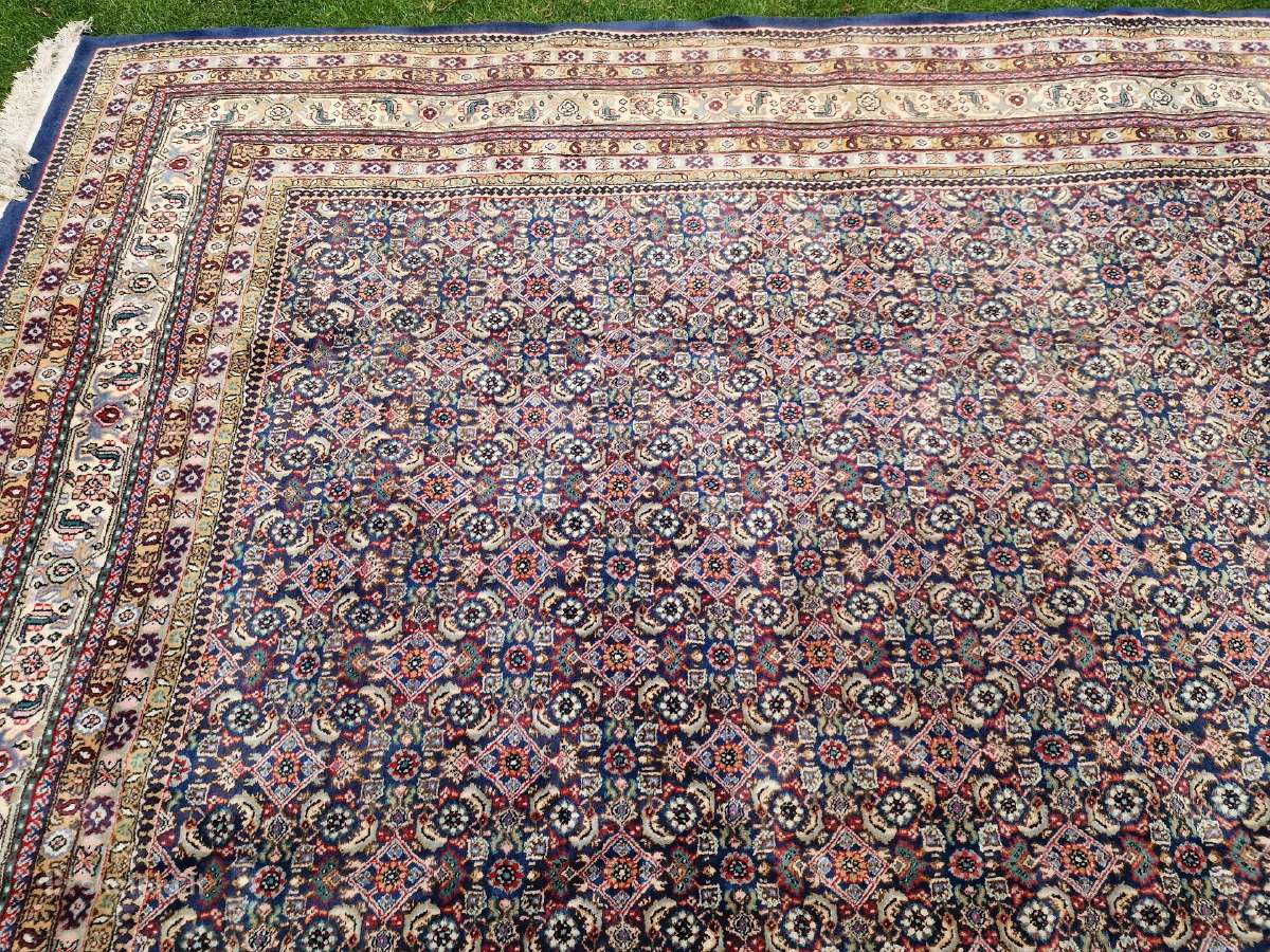 Vintažinis 3x4 m. vilnos kilimas Zahedan(iranas) - nuotraukos Nr. 23