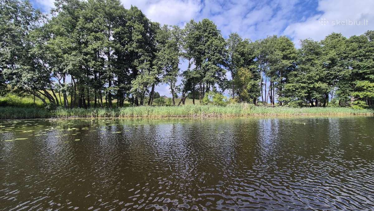 Sodyba ant kalvos su 58 m Lamėsto pakrante - nuotraukos Nr. 2
