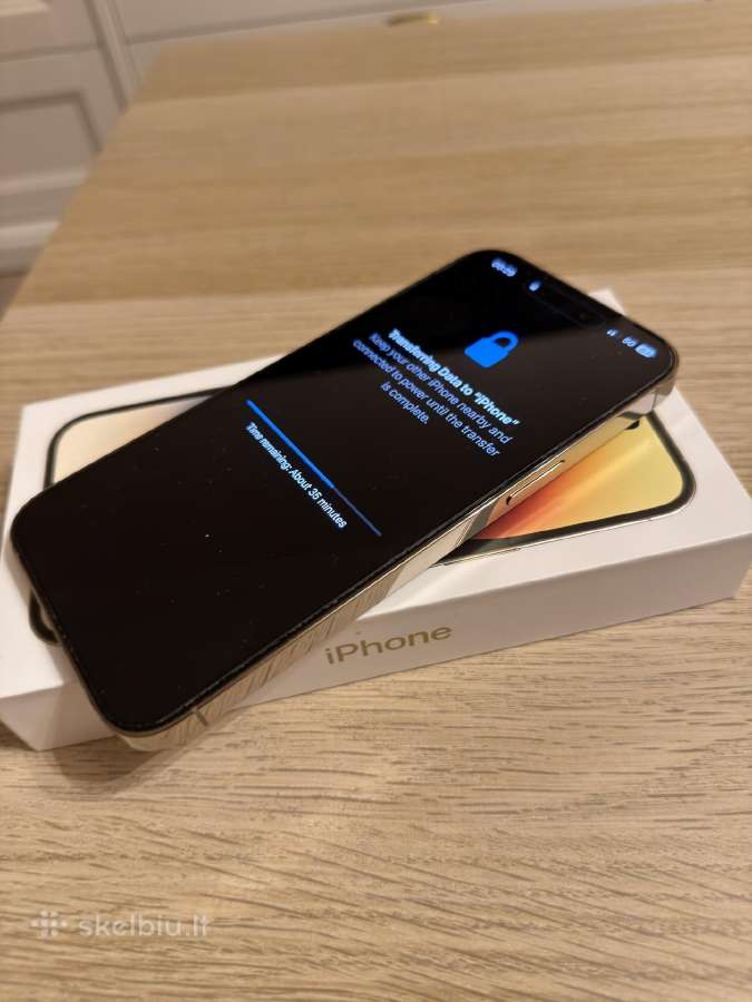 Apple iPhone 14 Pro Max 256 GB Gold - nuotraukos Nr. 6
