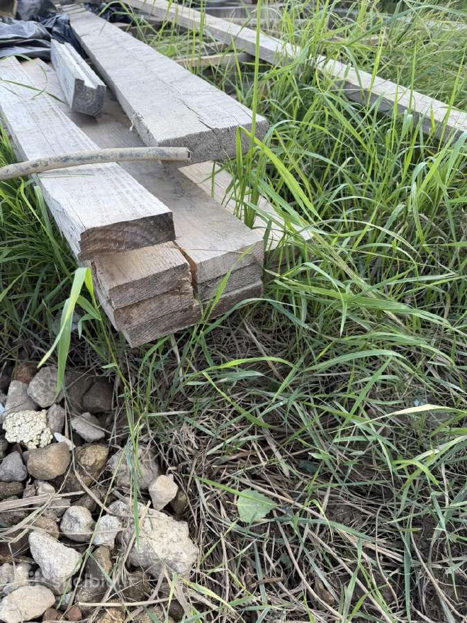 Dovanoju medienos atraižas - nuotraukos Nr. 3