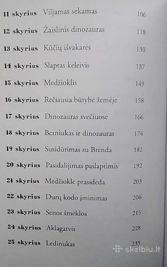 Kalėdozauras - nuotraukos Nr. 4