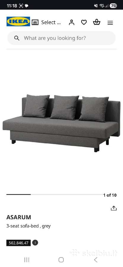 Sofa-lova Asarum - nuotraukos Nr. 2