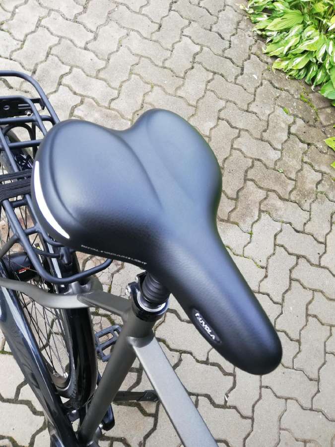 Gazelle Chamonix C8 - nuotraukos Nr. 10
