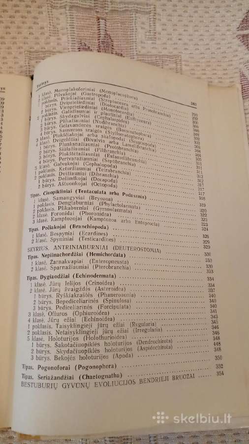Bestuburių Zoologija - nuotraukos Nr. 8