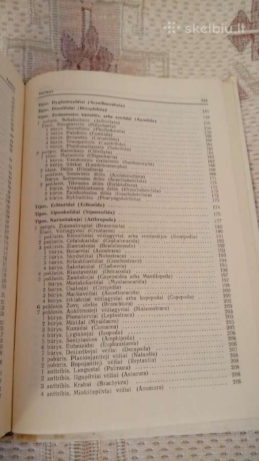 Bestuburių Zoologija - nuotraukos Nr. 6