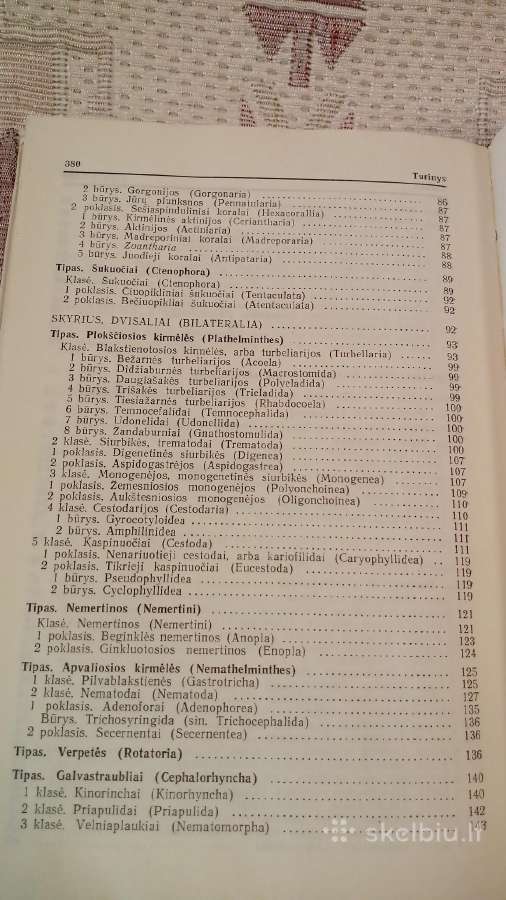 Bestuburių Zoologija - nuotraukos Nr. 5