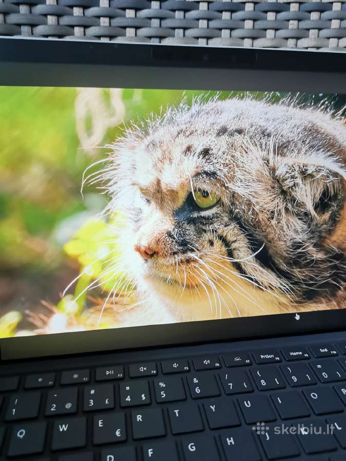 Surface pro 7 - nuotraukos Nr. 5