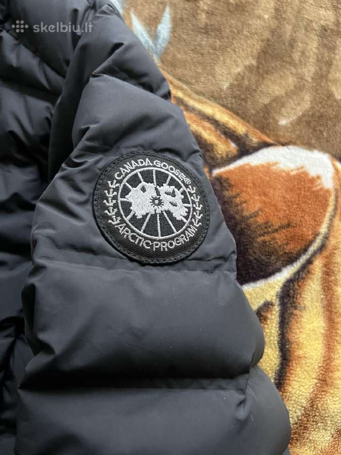 Canada goose striuke - nuotraukos Nr. 2