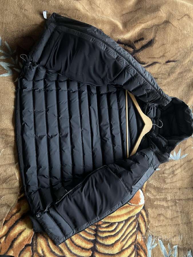 Canada goose striuke - nuotraukos Nr. 5