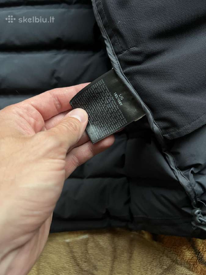 Canada goose striuke - nuotraukos Nr. 7
