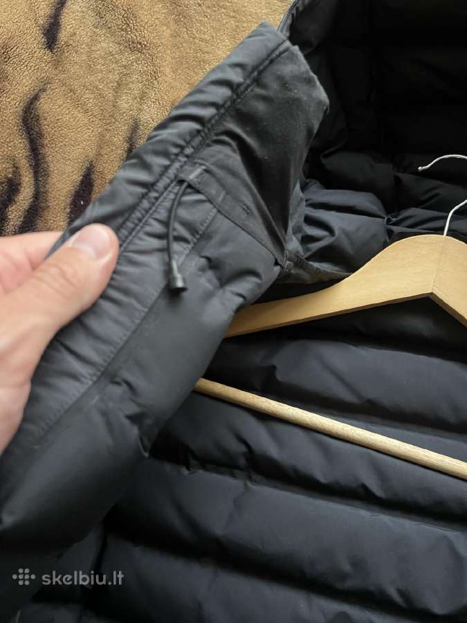 Canada goose striuke - nuotraukos Nr. 9
