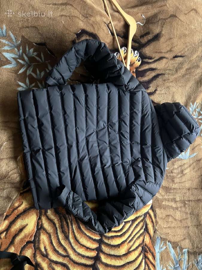 Canada goose striuke - nuotraukos Nr. 10