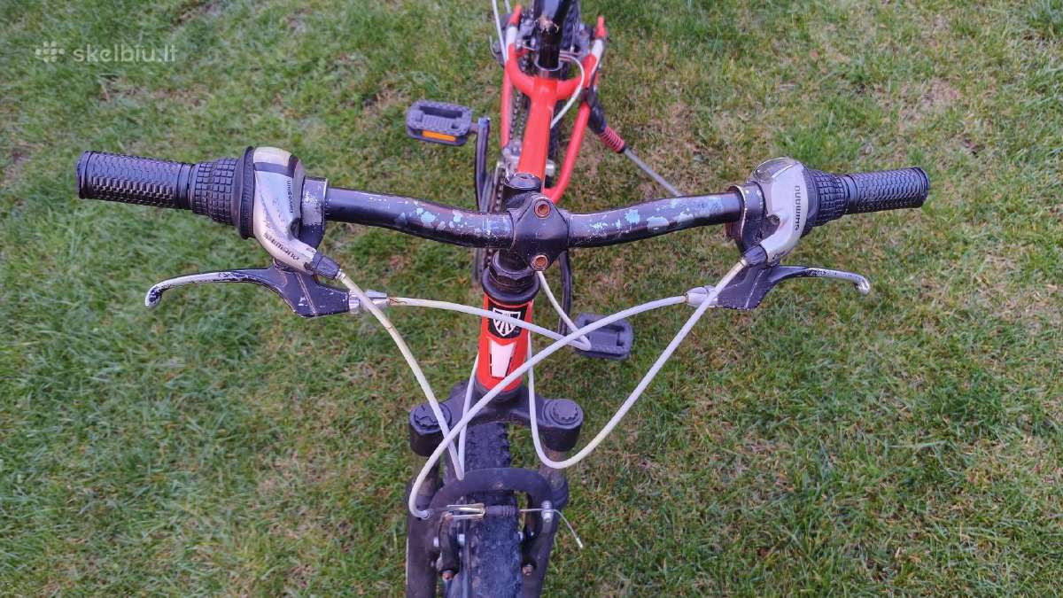 Trek dviratis - nuotraukos Nr. 2