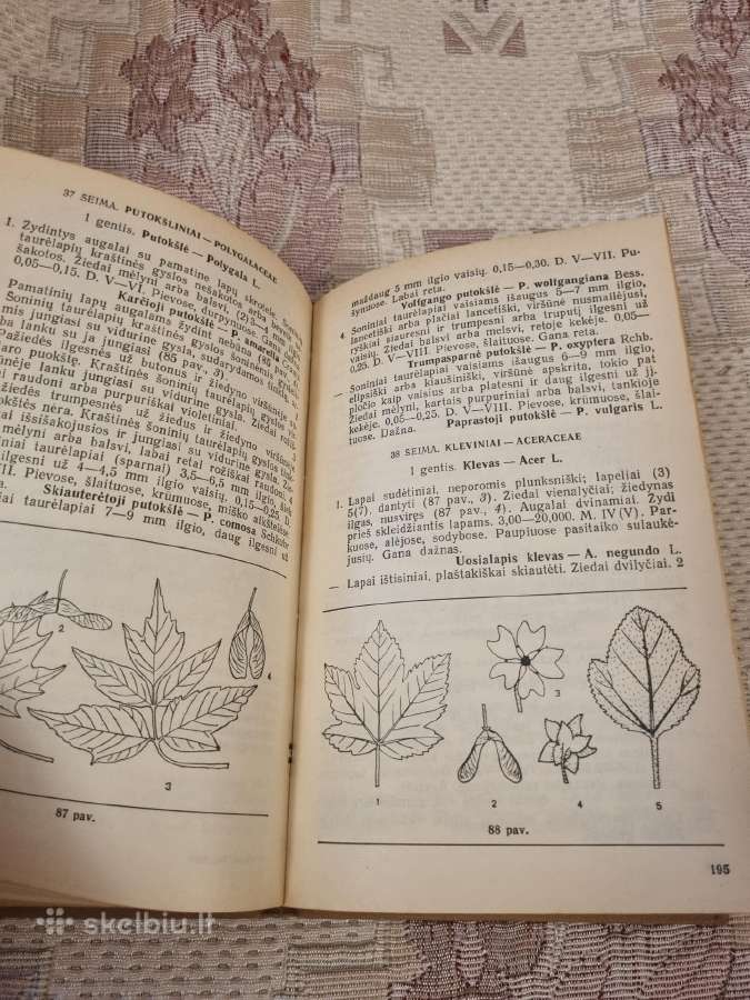 Vadovas augalams pažinti - nuotraukos Nr. 5