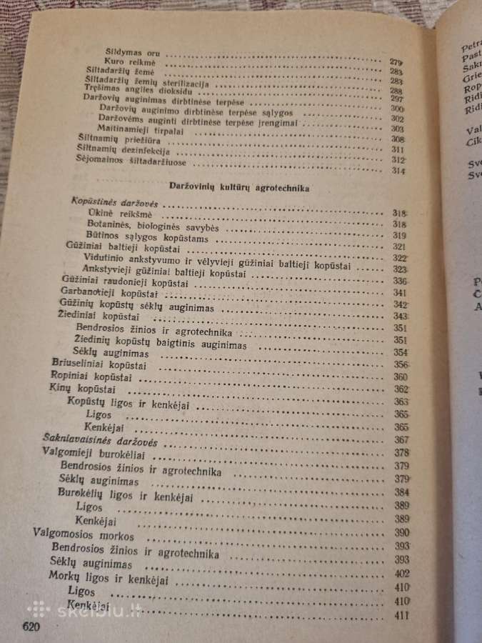 Daržininkystė - nuotraukos Nr. 6