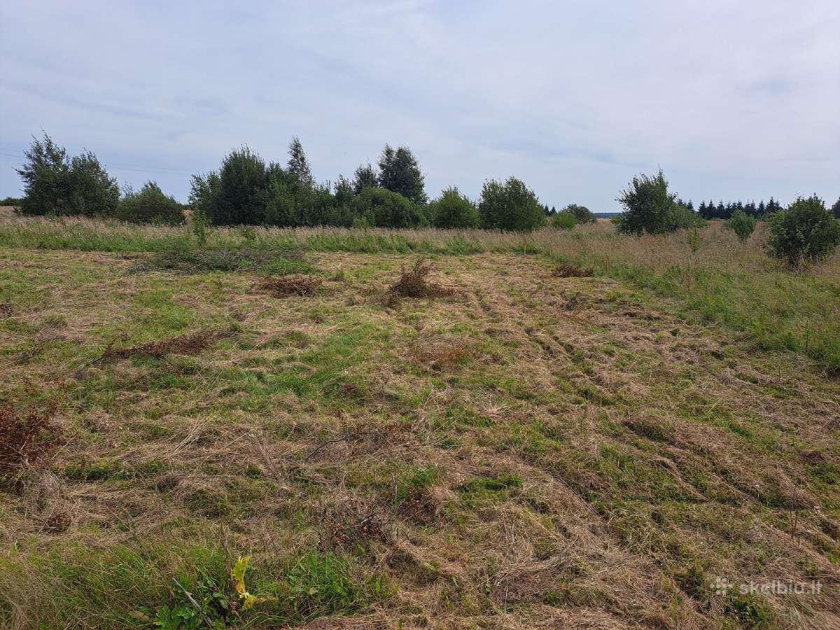 Širvintų raj. parduodami namų valdos sklypai - nuotraukos Nr. 5