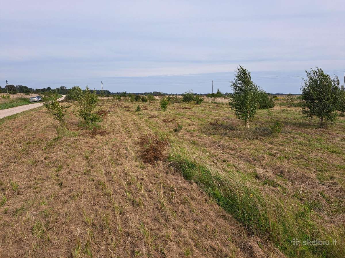 Širvintų raj. parduodami namų valdos sklypai - nuotraukos Nr. 6