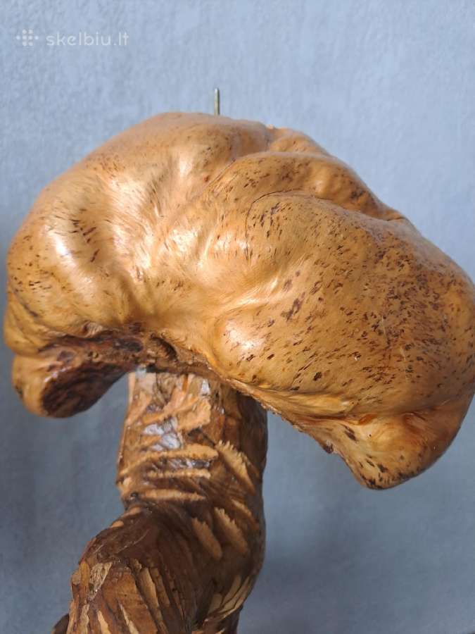 Senovine unikalią medžio gumbo skulptūrą - nuotraukos Nr. 6