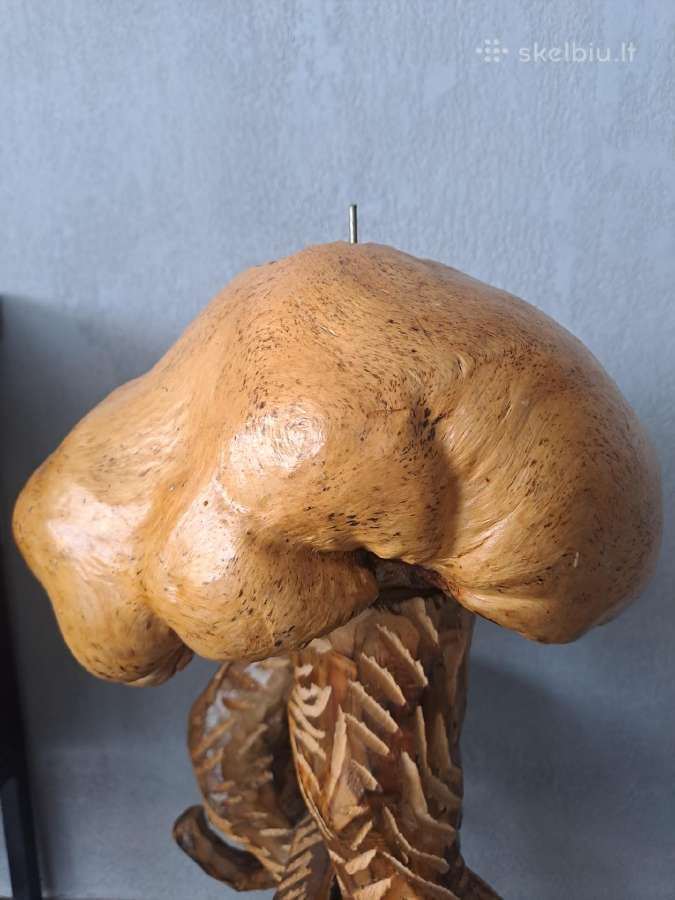 Senovine unikalią medžio gumbo skulptūrą - nuotraukos Nr. 7