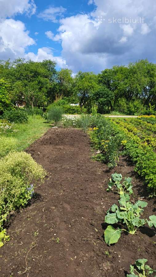 Sodo sklypas - nuotraukos Nr. 9