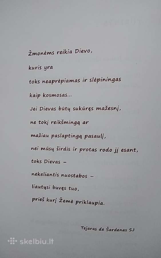 Didieji klausimai jaunimui - nuotraukos Nr. 4