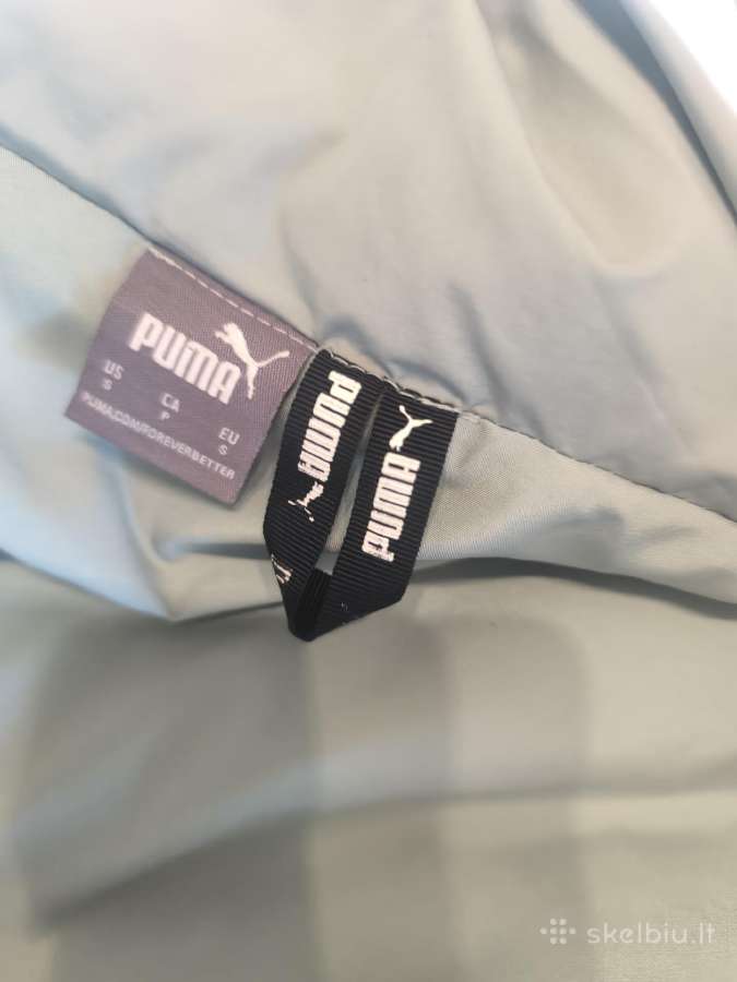 Puma - nuotraukos Nr. 3