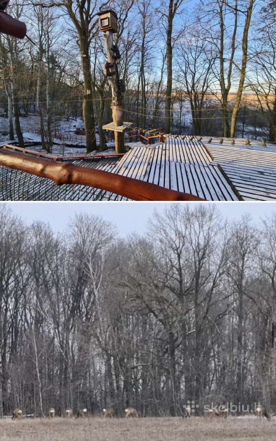 Isnuomojama sodyba - parkas gyvenimui ar verslui - nuotraukos Nr. 7