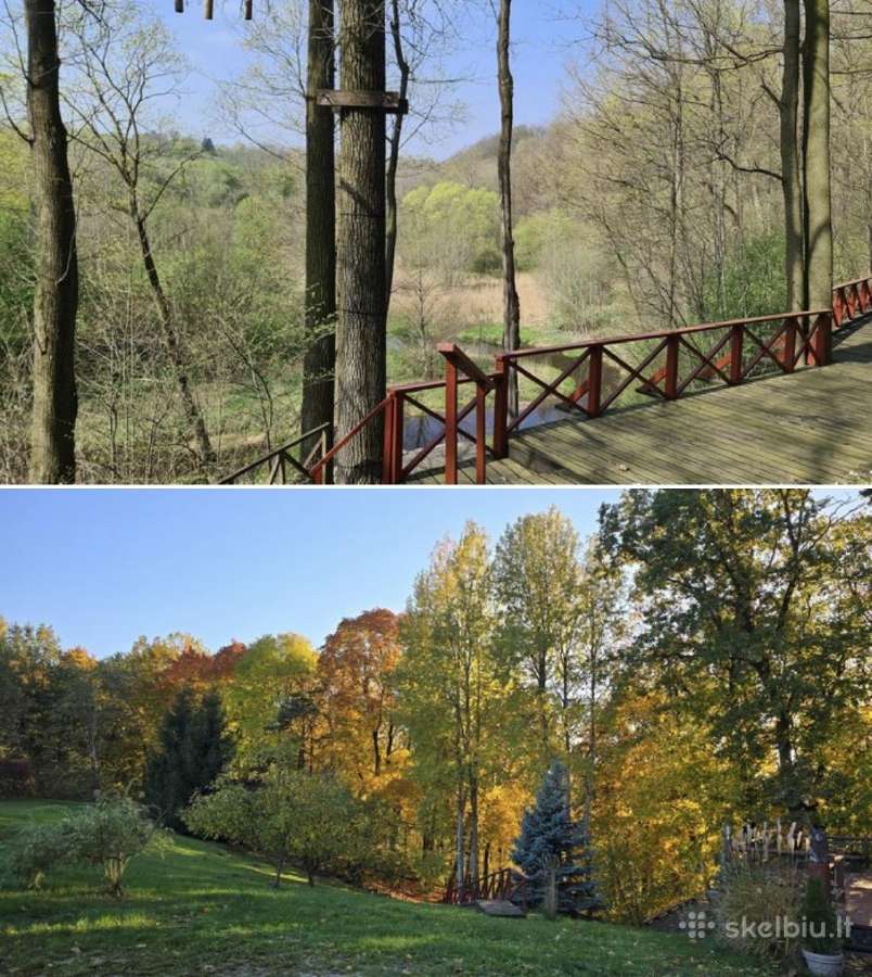Isnuomojama sodyba - parkas gyvenimui ar verslui - nuotraukos Nr. 10