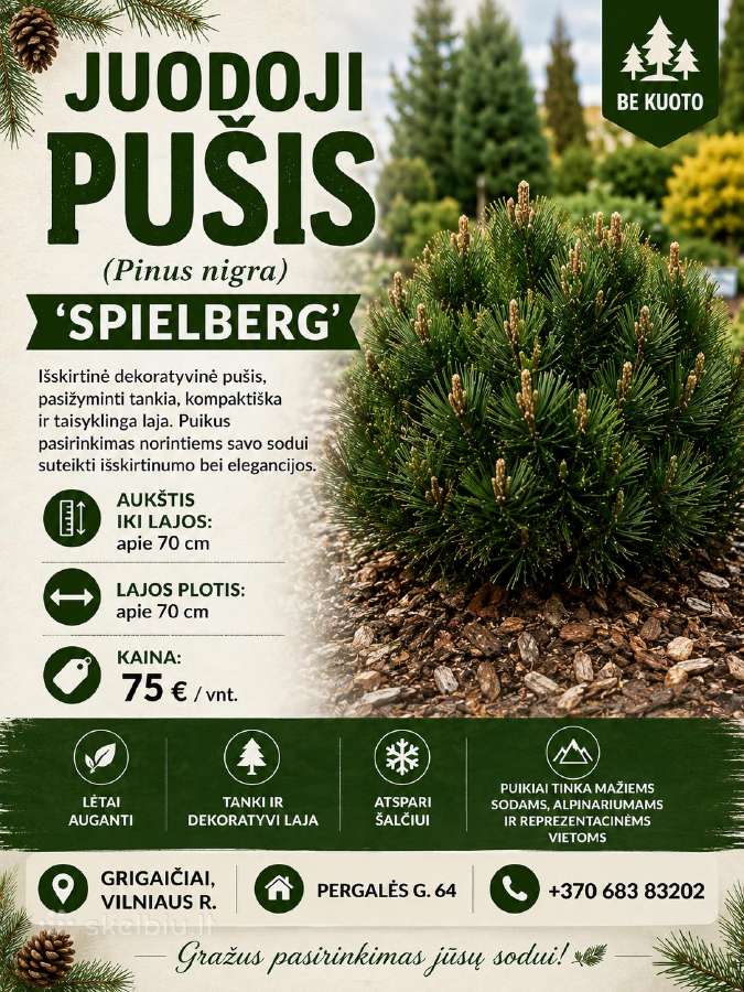 Ruduo – Puikus Metas Sodinti! - nuotraukos Nr. 9